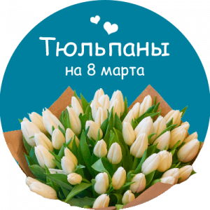 Купить тюльпаны в Волгограде